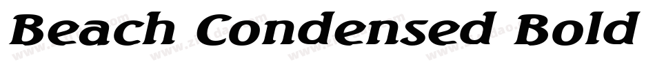 Beach Condensed Bold Italic字体转换